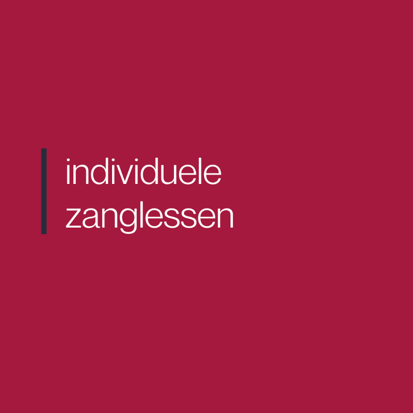 Individuele lessen zang : 30 minuten
